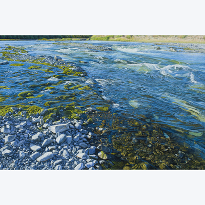 Bovine Waterway Boyd-Dunlop Gallery Napier Hawkes Bay Mark Cross Oil Painting Landscape Seascape Water