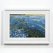     Bovine Waterway Boyd-Dunlop Gallery Napier Hawkes Bay Mark Cross Oil Painting Landscape Seascape Water