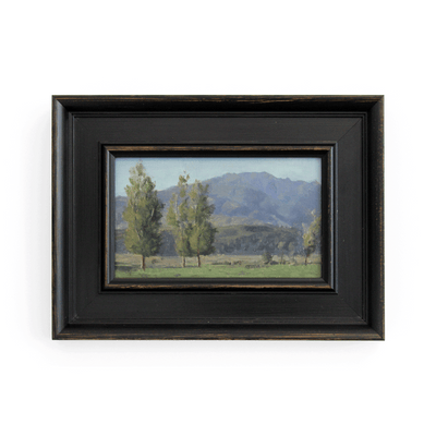 Ben Dellabarca Landscape Plein Air Painting Fine Art Oil Paint Framed at Boyd-Dunlop Gallery Hawkes Bay Napier