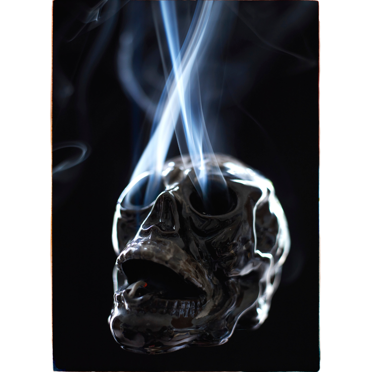 Skull 2 - A3 Print