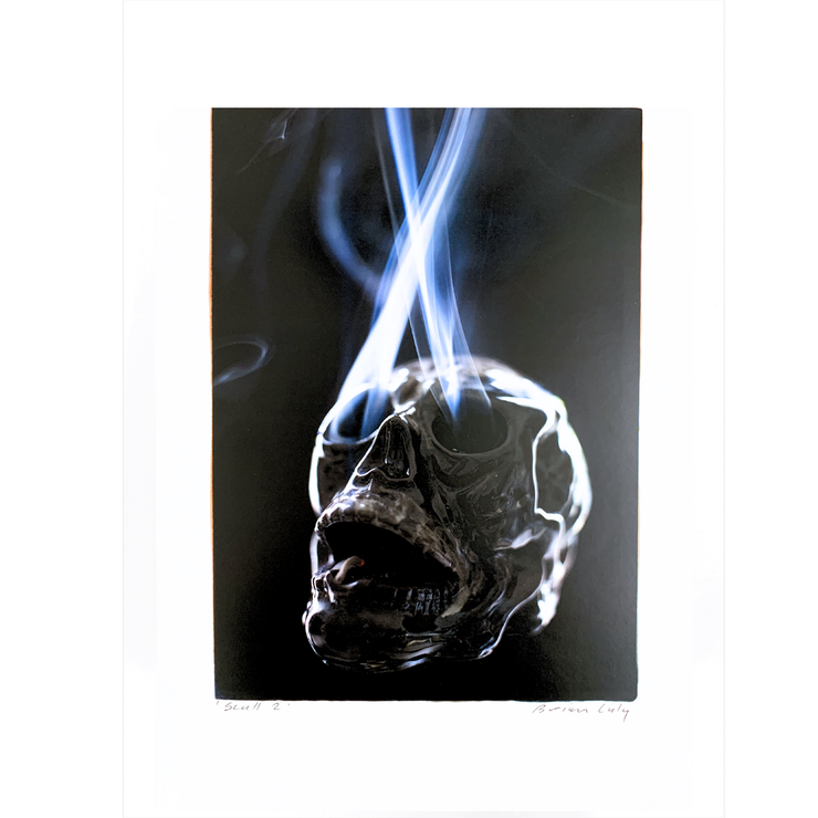 Skull 2 - A3 Print