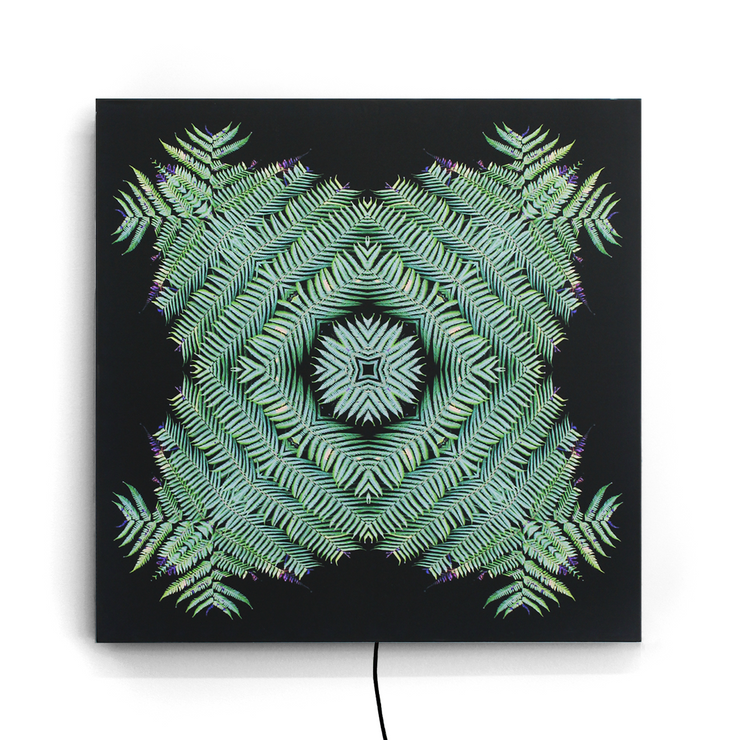 Limited Edition Pattern Lightbox Adjustable Colours Dominic Fritsche Fridom Graphic Design and Artist