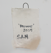 Dreaming