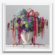 Boyd-Dunlop Gallery Napier Hawkes Bay Emma Bass Photographic Print Fine Art Print Giclee Floral Flowers Vase Limited Edition framing Art Dealer Art collector still life floral  framing frames