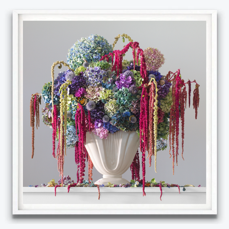 Boyd-Dunlop Gallery Napier Hawkes Bay Emma Bass Photographic Print Fine Art Print Giclee Floral Flowers Vase Limited Edition framing Art Dealer Art collector still life floral  framing frames