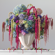 Boyd-Dunlop Gallery Napier Hawkes Bay Emma Bass Photographic Print Fine Art Print Giclee Floral Flowers Vase Limited Edition framing Art Dealer Art collector still life floral 