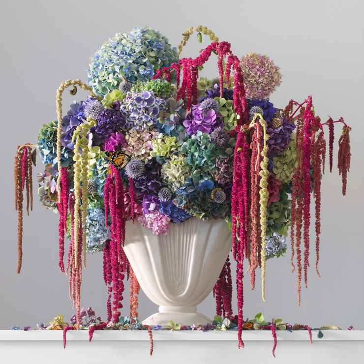 Boyd-Dunlop Gallery Napier Hawkes Bay Emma Bass Photographic Print Fine Art Print Giclee Floral Flowers Vase Limited Edition framing Art Dealer Art collector still life floral 