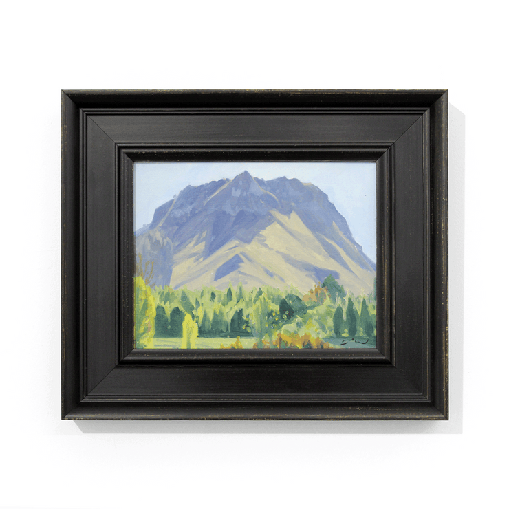 Boyd-Dunlop Gallery Mountains Snow Hills Napier Hawkes Bay Tuki Tuki Havelock North Freeman White Oil Painting Landscape Hills Te Mata Peak Scenic Artist 