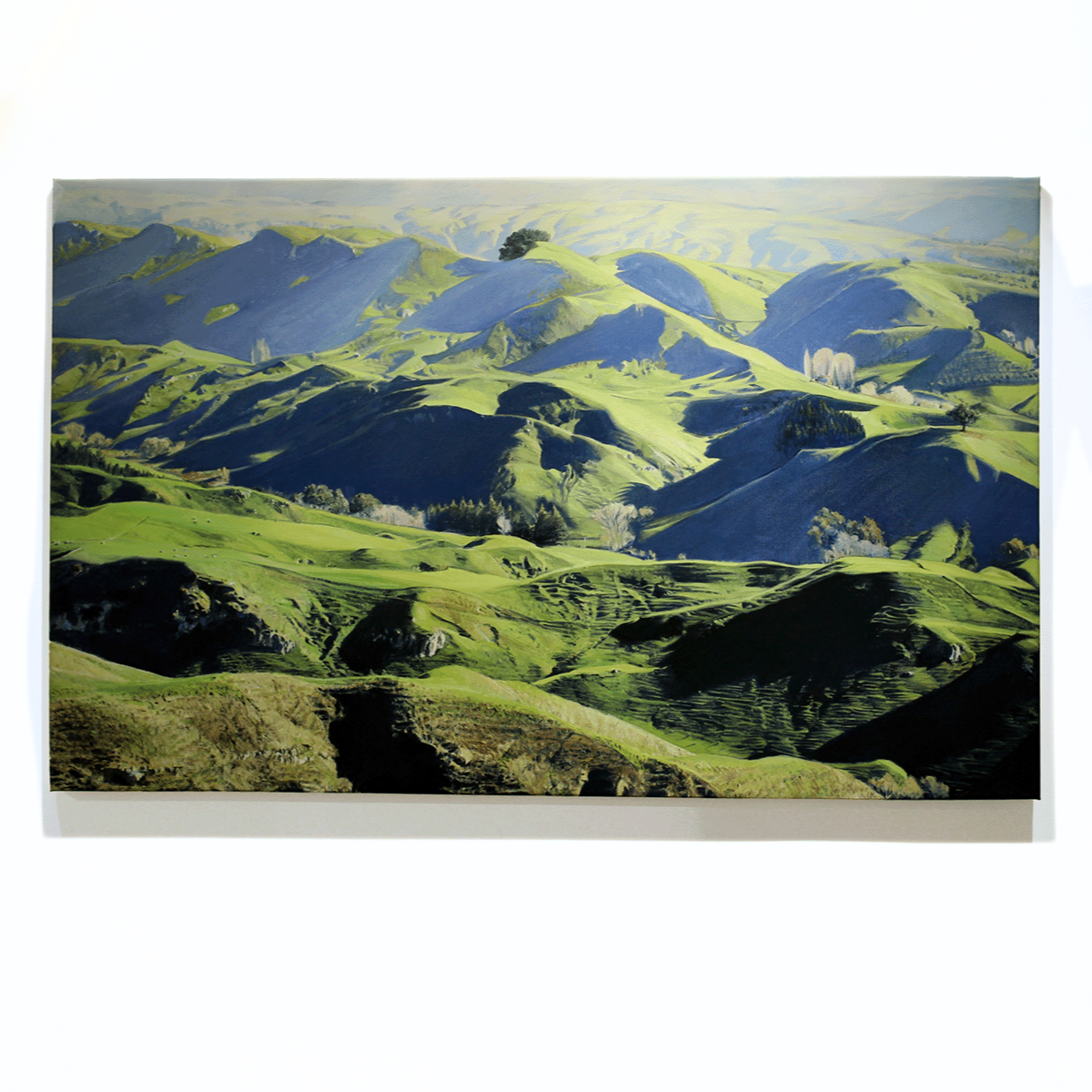 Moving Light, Te Mata - Limited Edition Prints by Freeman White – Boyd ...