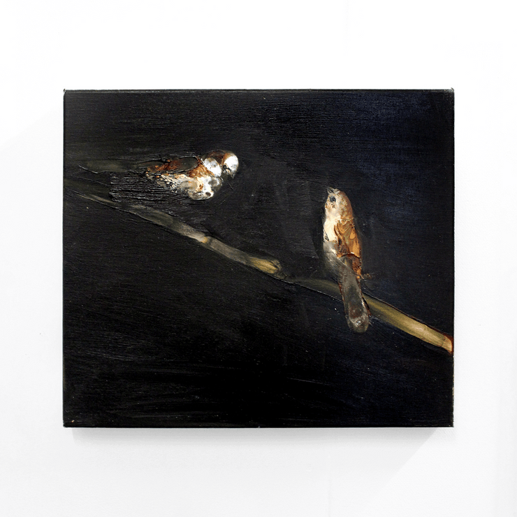 Garth Steeper Animal Birds Dark Oil Painting Hawke's Bay Hastings Street at Boyd-Dunlop Gallery