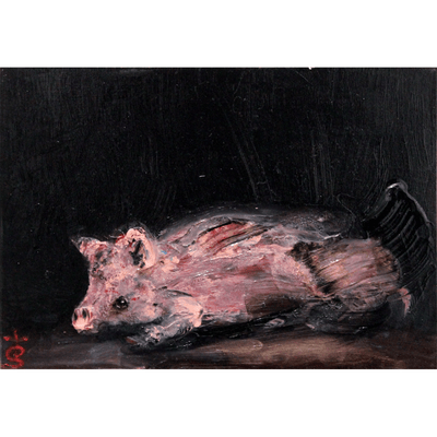 Pig Study, 2023 Garth Steeper Oil Painting Hawke's Bay Hastings Street at Boyd-Dunlop Gallery