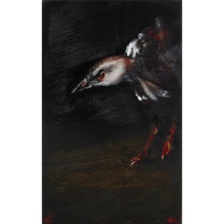 A Very Formidable Weka, 2023 Garth Steeper Oil Painting Hawke's Bay Hastings Street at Boyd-Dunlop Gallery Bird