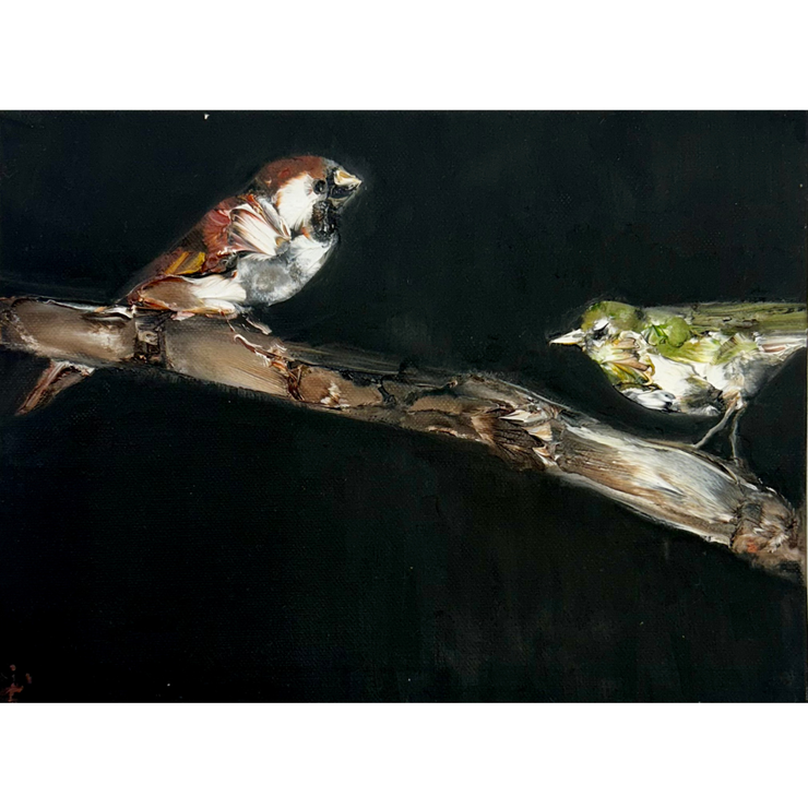 Sparrow and Finch, 2025