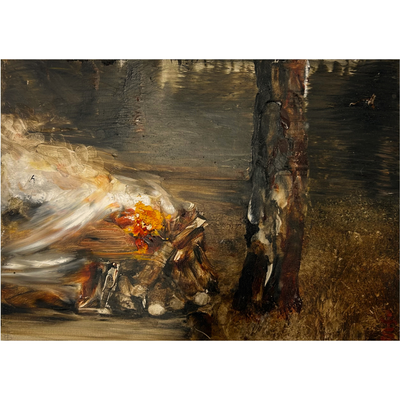 Garth Steeper Animal Birds Dark Oil Painting Hawke's Bay Hastings Street at Boyd-Dunlop Gallery Hastings Street Napier Art Dealer Art Collector Contemporary art emerging artist Nz artist painter collectible