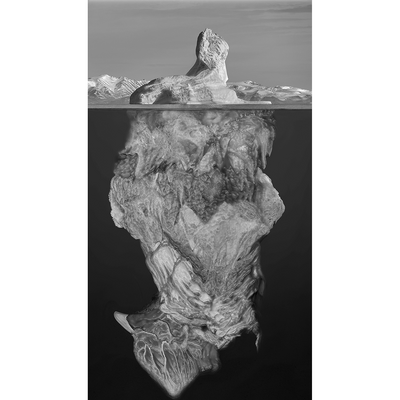 Jae Hoon Lee Korean Born Artist Photographic Photographic Manipulation Edited Limited Edition Fine Art framed chromira print on metallic and matt prints at Boyd-Dunlop Gallery 4 Hastings Street Napier Hawkes Bay