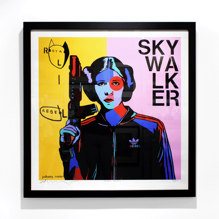 Boyd-Dunlop Gallery Napier Hawkes Bay Johnny Romeo Pop art colour icons limited edition prints Skywalker Star Wars