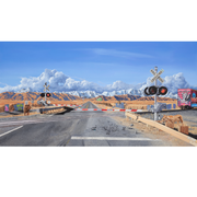 Boyd-Dunlop Gallery Napier Art GalleryJeremy McCormick Hyperrealism Surreal Urban Landscape Surealism Wildlife Limited Edition Prints Boyd-Dunlop Gallery Napier framing framers lions streetscene realism print