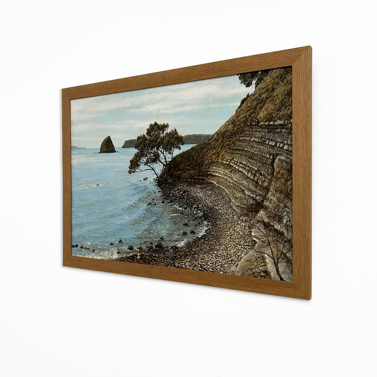 Rocky Cove, Mahurangi