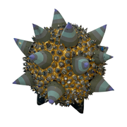 Star Seed 4/10
