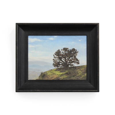 Sam Balzer Dyed Studios Landscape Plein Air Painting Fine Art Oil Paint Framed at Boyd-Dunlop Gallery Hawkes Bay Napier