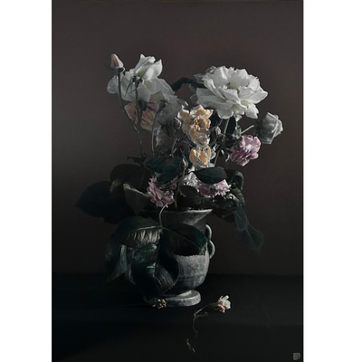 Boyd-Dunlop Gallery Hawke's Bay Napier Hastings Street  Boyd-Dunlop art dealer Contemporary framed works art for sale portrait landscape Susan Badcock Floral Photograph still life Hand coloured photograph framed framer art dealer interior design  roses