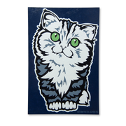 Grey Tabby