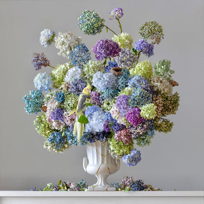 Boyd-Dunlop Gallery Napier Hawkes Bay Emma Bass Photographic Print Fine Art Print Giclee Floral Flowers Vase Limited Edition framing  hydrangeas