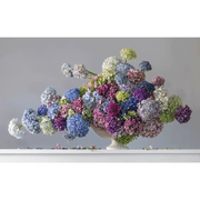 hydrangea flower bouquet in white vase, Boyd-Dunlop Gallery Napier Hawkes Bay Emma Bass Photographic Print Fine Art Print Giclee Floral Flowers Vase Limited Edition