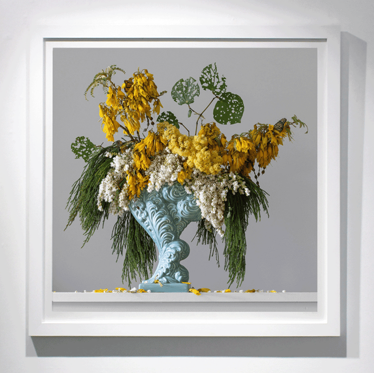 Boyd-Dunlop Gallery Napier Hawkes Bay Emma Bass Photographic Print Fine Art Print Giclee Floral Flowers Vase Limited Edition yellow kowhai