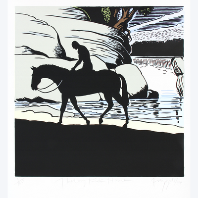 Boyd-Dunlop Gallery Napier Hawkes Bay Dick Frizzell Limited Edition Screen Prints Painting NZ Art 