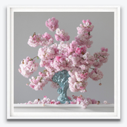 Boyd-Dunlop Gallery Napier Hawkes Bay Emma Bass Photographic Print Fine Art Print Giclee Floral Flowers Vase Cherry Blossom Pink