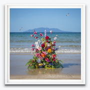 Boyd-Dunlop Gallery Napier Hawkes Bay Emma Bass Photographic Print Fine Art Print Giclee Floral Flowers Vase Limited Edition beach bouquet