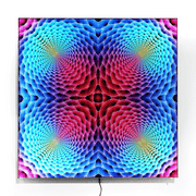 Honey Bee Rainbow Coloured Limited Edition Pattern Lightbox Adjustable Colours by Dominic Fritsche Fridom Graphic Design and Artist