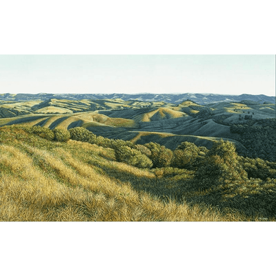 Kaipara Hills Vista Boyd-Dunlop Gallery Napier Hawkes Bay Mark Cross Oil Painting Landscape Seascape Water