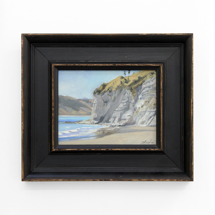 Boyd-Dunlop Gallery Napier Hawkes Bay Freeman White Portraits Oil Painting pleinair oil painter canvas landscapes seascape cliffs beach ocean