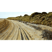 Neaptide Boyd-Dunlop Gallery Napier Hawkes Bay Mark Cross Oil Painting Landscape Seascape Water