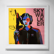 Boyd-Dunlop Gallery Napier Hawkes Bay Johnny Romeo Pop art colour icons limited edition prints Skywalker Star Wars