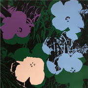 Boyd-Dunlop Gallery Napier Andy Warhol Floral Portraits Silkscreen Napier Pop Art Prints Framed Wall Art Flowers