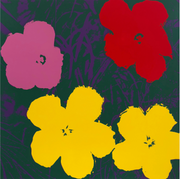Boyd-Dunlop Gallery Napier Andy Warhol Floral Portraits Silkscreen Napier Pop Art Prints Framed Wall Art Flowers