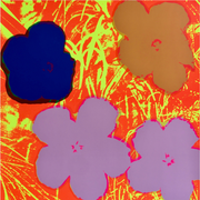 Boyd-Dunlop Gallery Napier Andy Warhol Floral Portraits Silkscreen Napier Pop Art Prints Framed Wall Art Flowers