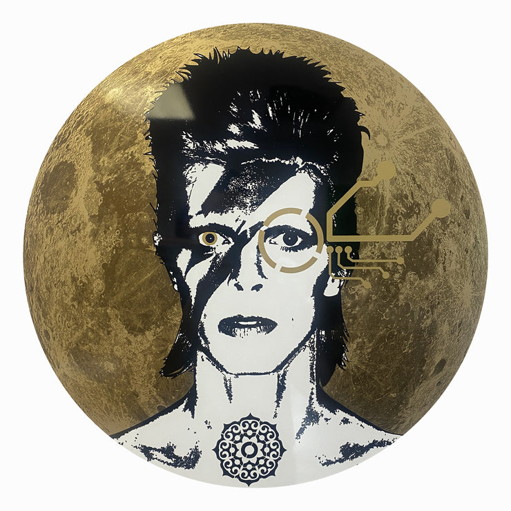 Boyd-Dunlop Gallery Napier Hawkes Bay Brad Novak New Blood Pop Pop Artist Bowie Gold Silver Blue Circle