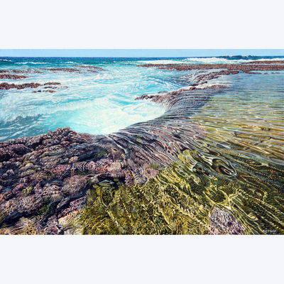 Backwash Boyd-Dunlop Gallery Napier Hawkes Bay Mark Cross Oil Painting Landscape Seascape Water