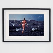 Primal Flight Boyd-Dunlop Gallery Napier Hawkes Bay Mark Cross Oil Painting Landscape Mountains Seagulls