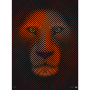 Lion Tim Christie Boyd-Dunlop Gallery Orange weaving fine art print framed