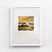 Boyd-Dunlop Gallery Napier Hawkes Bay Dick Frizzell Limited Edition Screen Prints Painting NZ Art